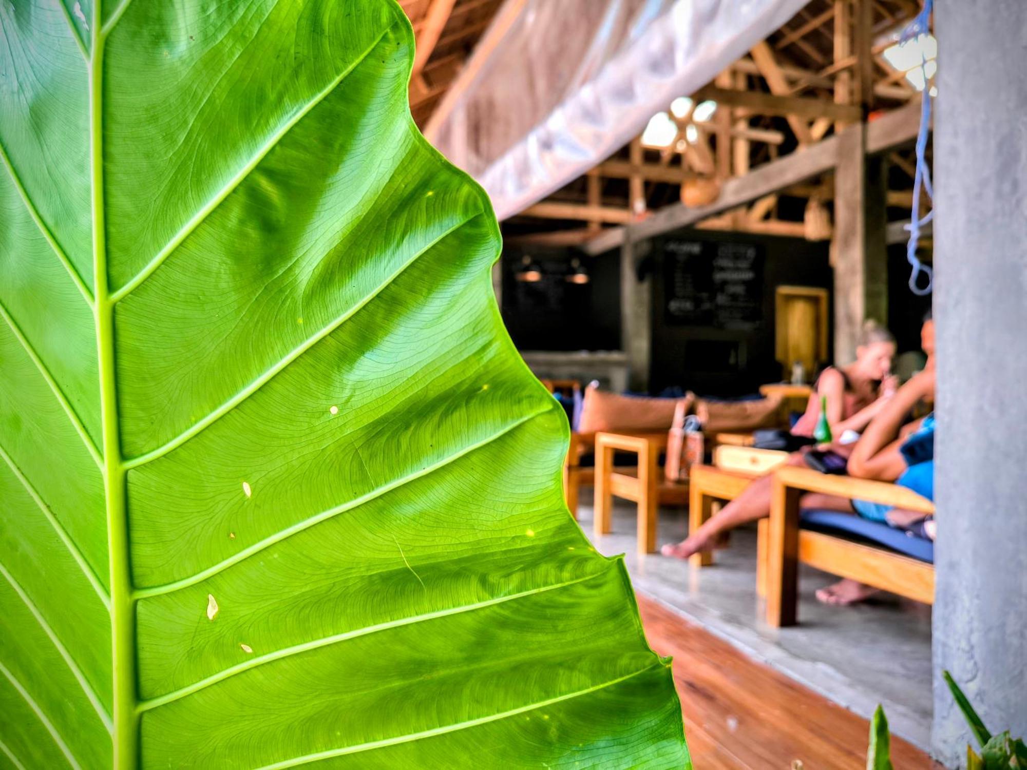 The Ohm Siargao Resort Генерал-Луна Экстерьер фото